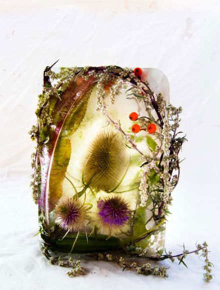 Flora