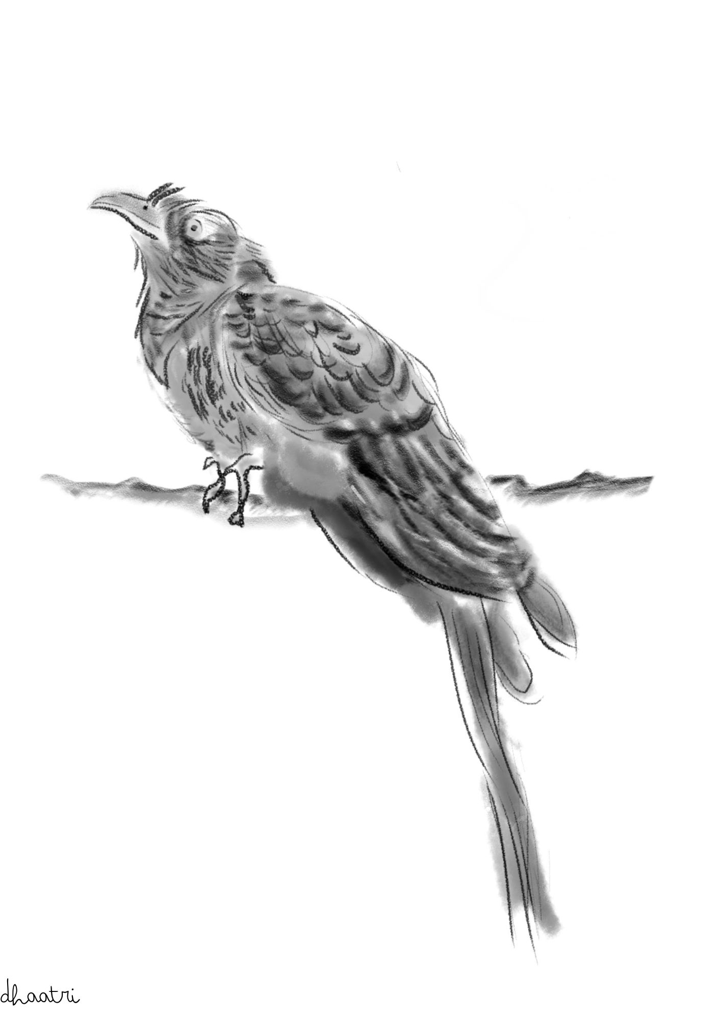 Illustration: Dhaatri Vengunad